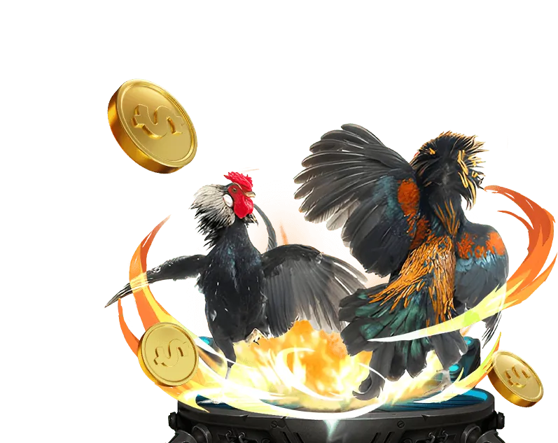 Chính sách chơi có trách nhiệm của gacam.67